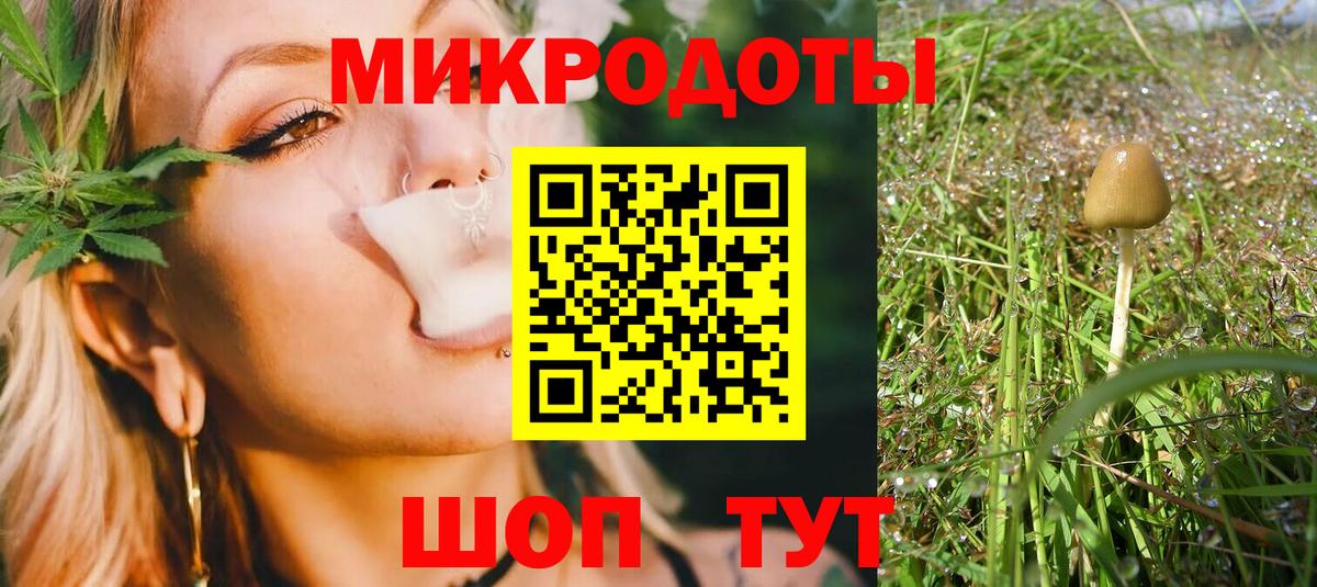 Псилоцибиновые грибы GOLDEN TEACHER Саров